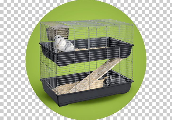 Cage Guinea Pig Cat Tree Rodent PNG, Clipart,  Free PNG Download