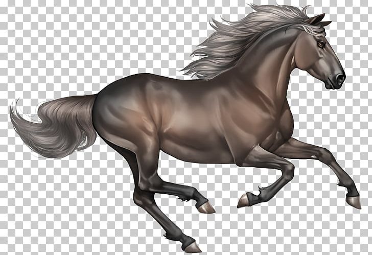 Mestengo: A Wild Mustang PNG, Clipart, Bridle, Desktop Wallpaper, Horse, Horse Like Mammal, Horse Tack Free PNG Download