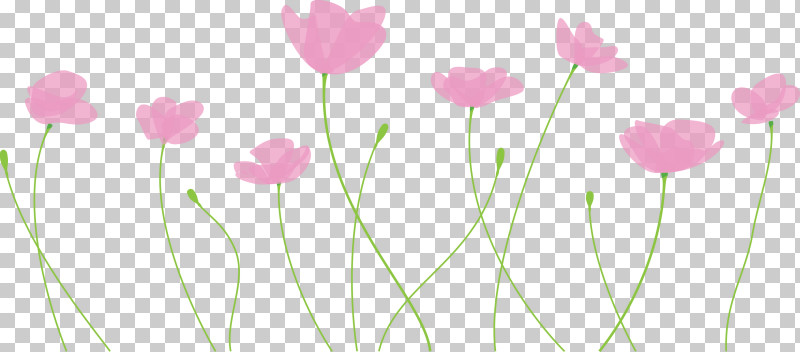 Poppy Flower PNG, Clipart, Flower, Grass, Pedicel, Petal, Pink Free PNG Download