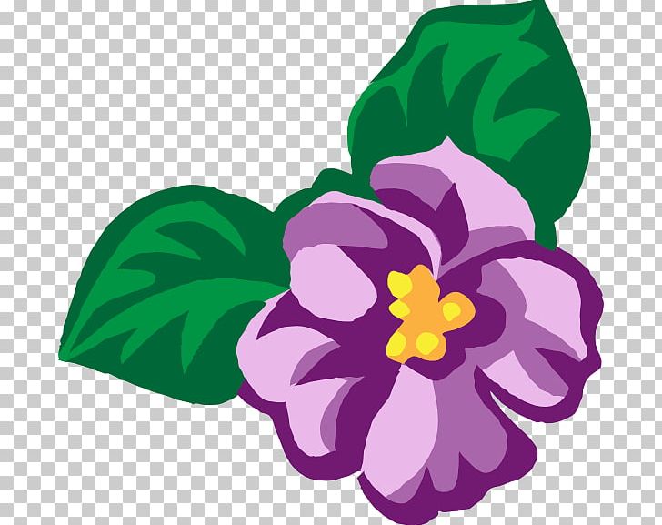 African Violets Purple PNG, Clipart, African Violets, Download, Flora, Floral Design, Flower Free PNG Download