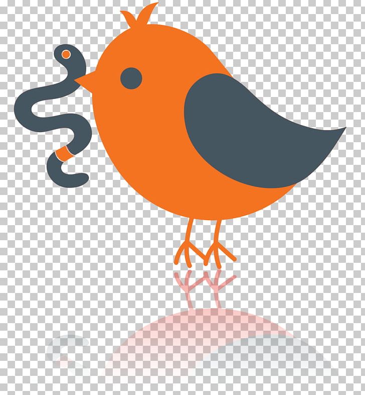 Bird PNG, Clipart, Animals, Artwork, Beak, Bird, Clip Art Free PNG Download