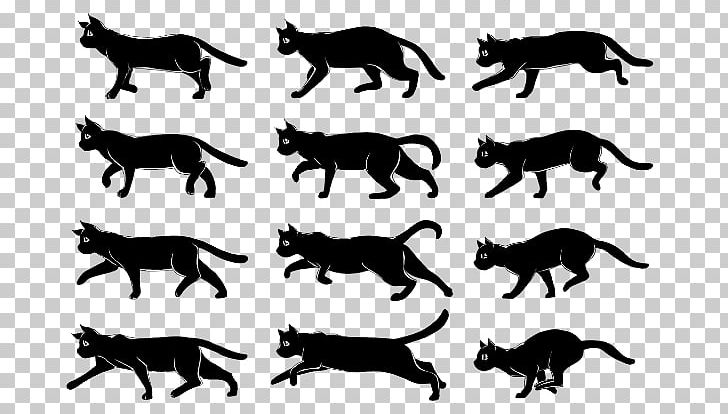 Walk Cycle Animation Key Frame Drawing Film Frame PNG, Clipart, Animator, Black , Carnivoran, Cartoon, Cat Like Mammal Free PNG Download