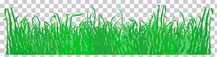 Lawn PNG, Clipart, Artificial Turf, Chrysopogon Zizanioides, Commodity, Computer Icons, Grass Free PNG Download