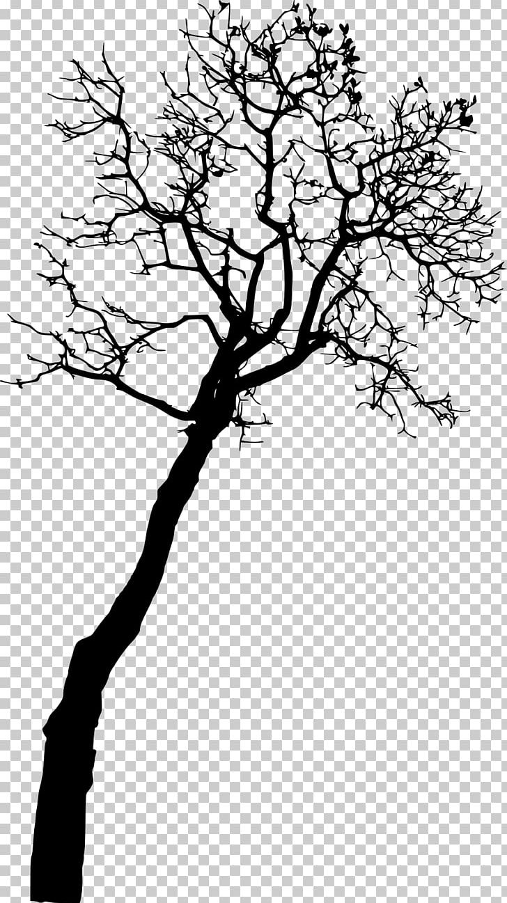 Tree Photography PNG, Clipart, Black And White, Branch, Flora, Flower, Flowering Plant Free PNG Download