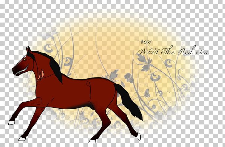 Foal Stallion Mustang Colt Bridle PNG, Clipart,  Free PNG Download