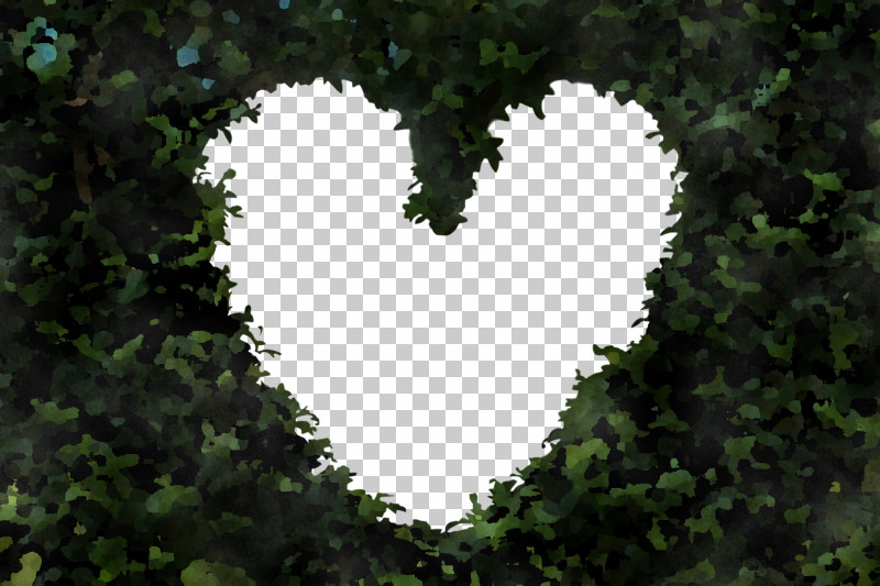 Heart Leaf Green Sky Tree PNG, Clipart, Branch, Grass, Green, Heart, Jungle Free PNG Download