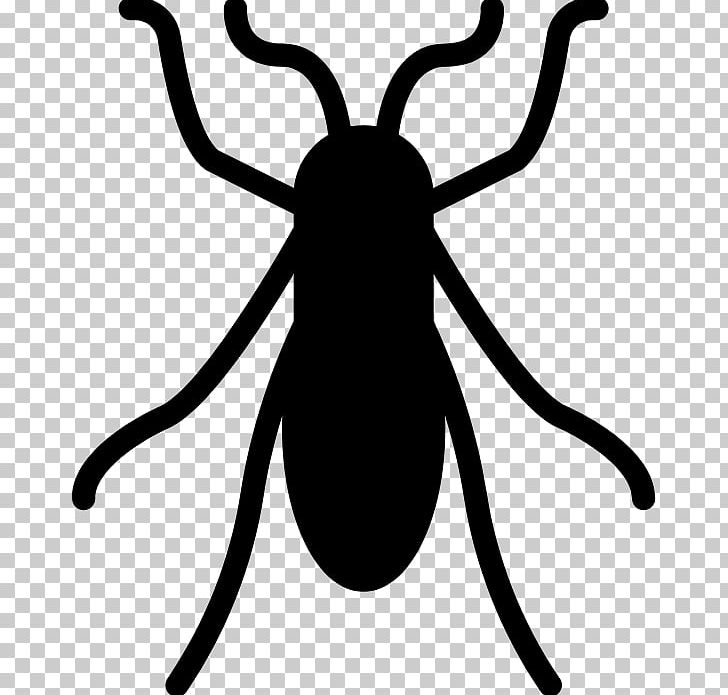 Insect Bed Bug Computer Icons Mosquito PNG, Clipart, Animals, Artwork, Bed Bug, Bedbug, Black And White Free PNG Download