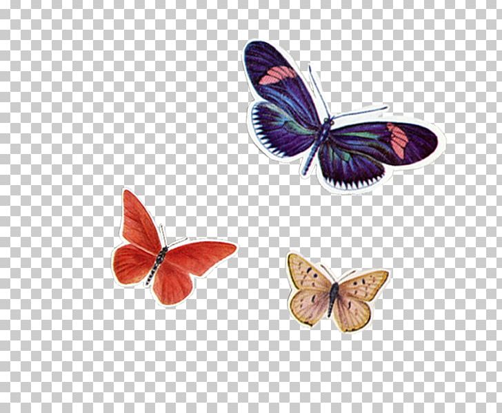 Monarch Butterfly Nymphalidae Milkweeds PNG, Clipart, Brush Footed Butterfly, Butterfly, Designer, Insect, Insects Free PNG Download