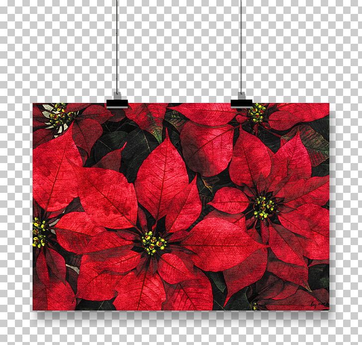 Paper Poinsettia Christmas Card Poster PNG, Clipart, Christmas, Christmas Card, Christmas Decoration, Christmas Ornament, Coated Paper Free PNG Download