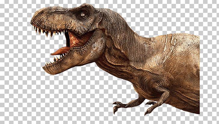 Tyrannosaurus Zoo Tycoon: Dinosaur Digs Velociraptor Allosaurus Spinosaurus PNG, Clipart, Arm, Dilophosaurus, Dinosaur, Edmontosaurus Annectens, Extinction Free PNG Download
