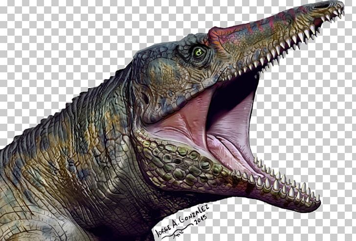 Velociraptor Paleontology Tyrannosaurus Chatham County PNG, Clipart, Carnifex, Crocodile, Crocodiles, Crocodilia, Dinosaur Free PNG Download