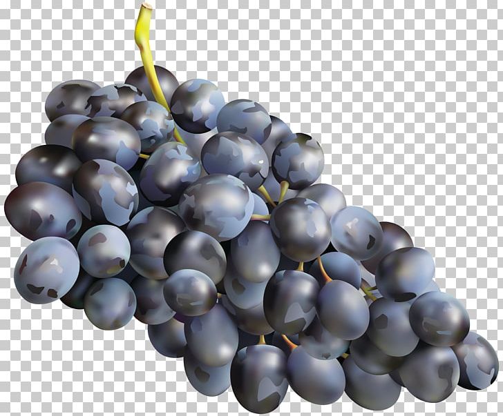 Grape Zante Currant PNG, Clipart, Amazon Grape, Bilberry, Blueberry, Clipart, Damson Free PNG Download