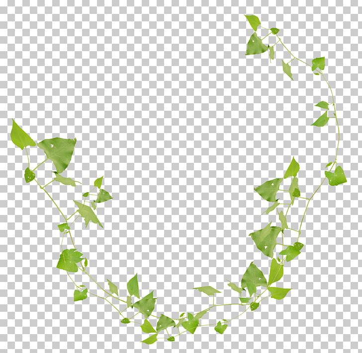 Border Leaf Rectangle PNG, Clipart, Adobe Illustrator, Area, Art, Artificial Grass, Blog Free PNG Download