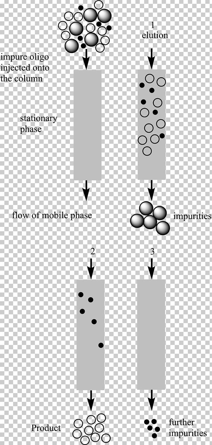 Reversed-phase Chromatography High-performance Liquid Chromatography Hydrophilic Interaction Chromatography Adsorption PNG, Clipart, Adsorption, Angle, Chromatography, Clock, Diagram Free PNG Download