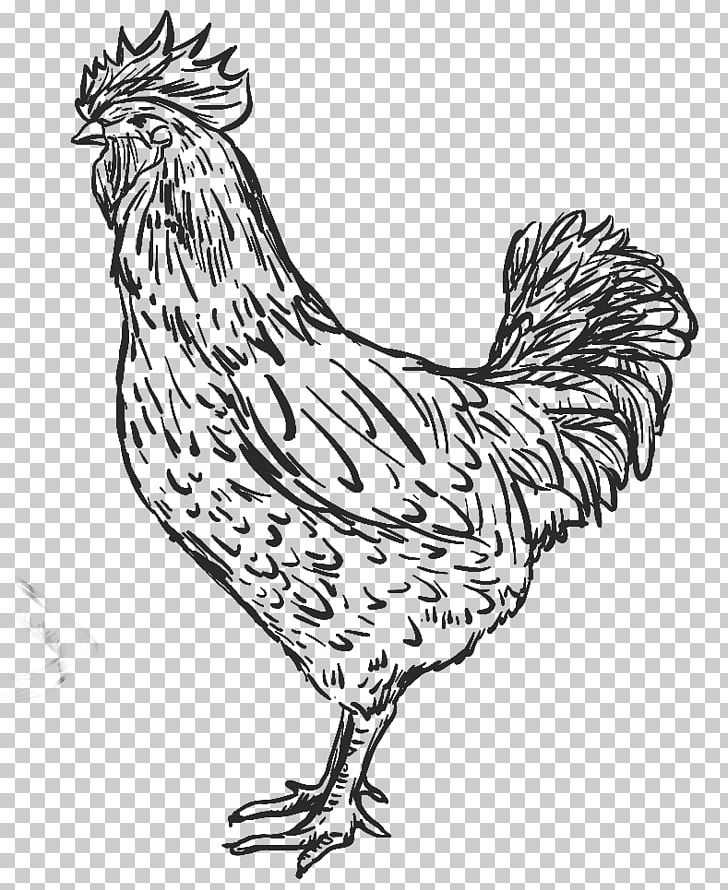 Rooster Chicken As Food Meat Hanoi PNG, Clipart, Animal Figure, Animals, Art, Artwork, Beak Free PNG Download
