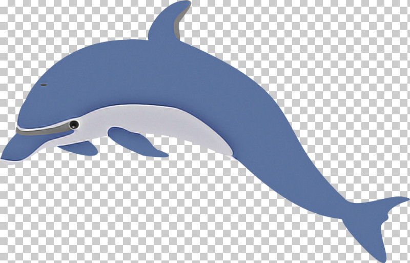 Bottlenose Dolphin Dolphin Cetacea Common Dolphins Fin PNG, Clipart, Animal Figure, Bottlenose Dolphin, Cetacea, Common Dolphins, Dolphin Free PNG Download