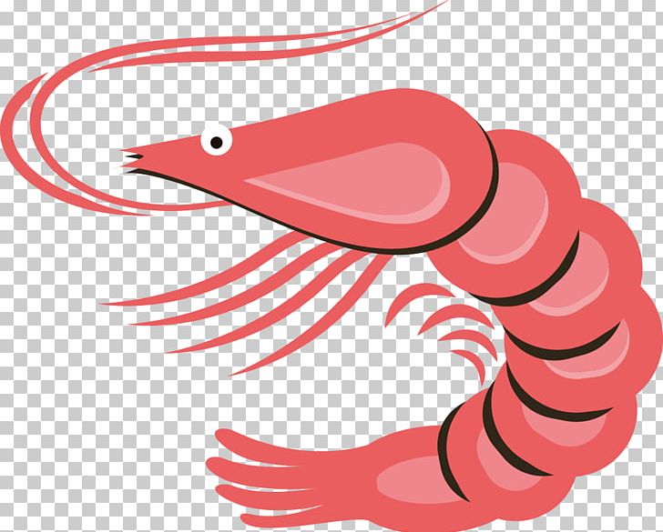 Seafood Caridea Shrimp PNG, Clipart, Animals, Balloon Cartoon, Car, Cartoon, Cartoon Character Free PNG Download