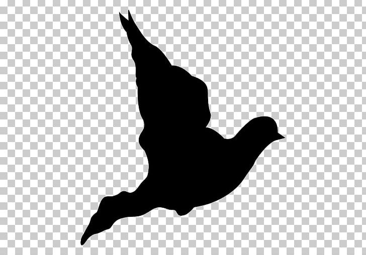 Silhouette PNG, Clipart, Animals, Beak, Bird, Black And White, Cdr Free PNG Download
