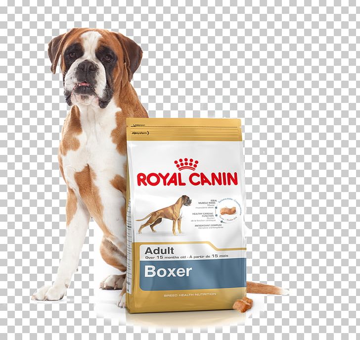 Boxer Golden Retriever Dog Food Puppy Cat Food PNG, Clipart, Animals, Baner, Boxer, Breed, Carnivoran Free PNG Download