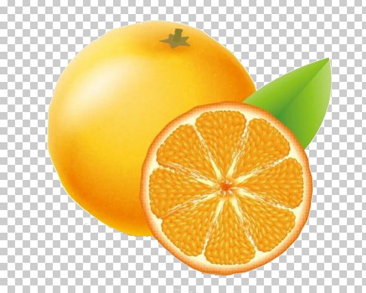 Clementine Orange Adobe Illustrator Icon PNG, Clipart, Chu, Citrus, Food, Free Buckle, Free Logo Design Template Free PNG Download