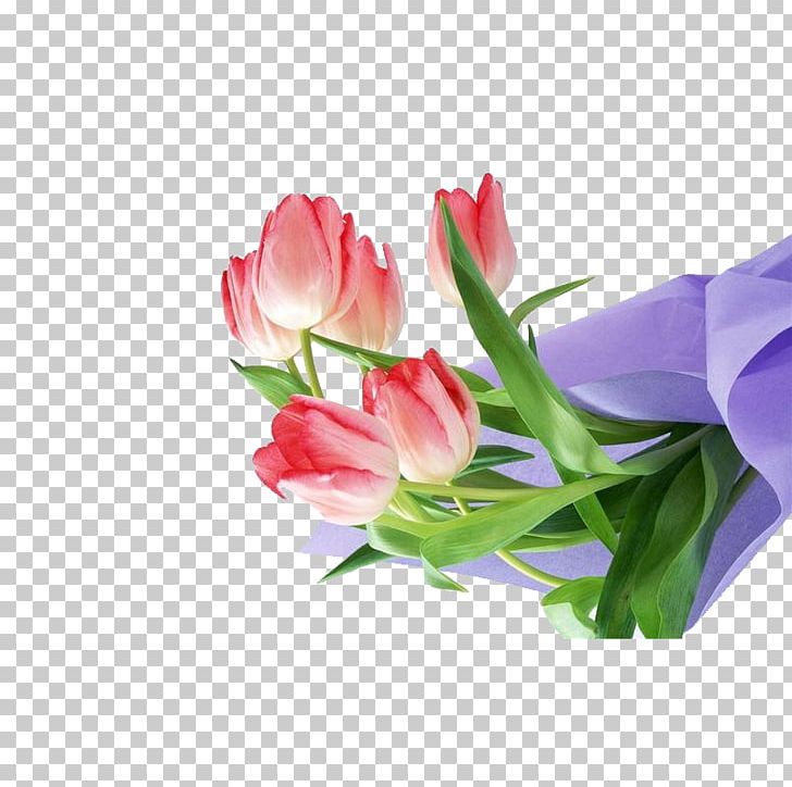 Flower Tulip Floral Design HVGA PNG, Clipart, Artificial Flower, Aspect Ratio, Bouquet, Bouquet Of Flowers, Bouquet Of Roses Free PNG Download