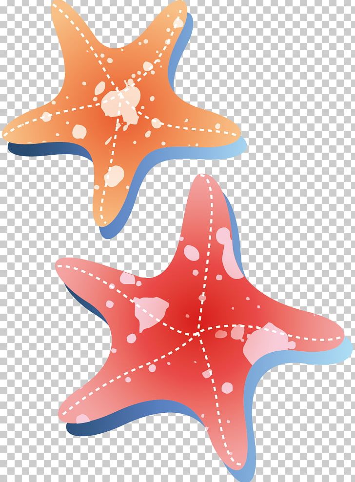 Starfish PNG, Clipart, Animals, Aquatic Product, Beautiful Starfish, Cartoon Starfish, Download Free PNG Download