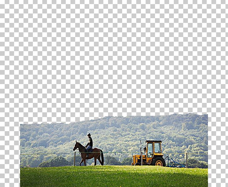 Tractor Equestrianism PNG, Clipart, Business Man, Cartoon, Country, Farm, Grass Free PNG Download
