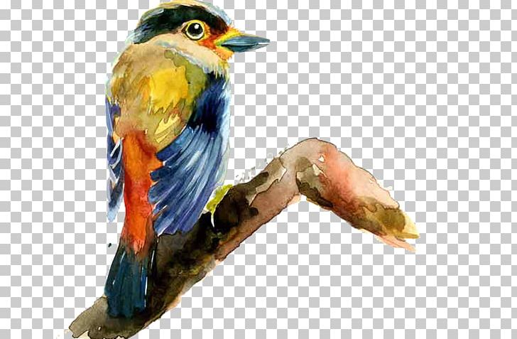 Bird Drawing Painting PNG, Clipart, Animal, Animals, Animation, Beak, Bird Free PNG Download