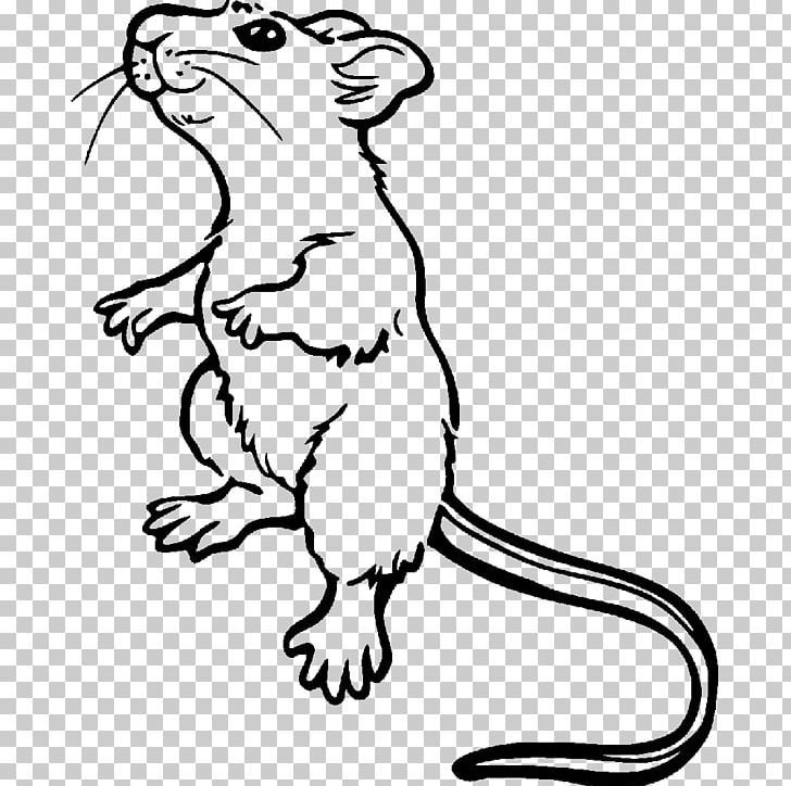 Brown Rat Mouse Coloring Book Laboratory Rat Drawing PNG, Clipart, Animals, Art, Artwork, Black And White, Black Rat Free PNG Download