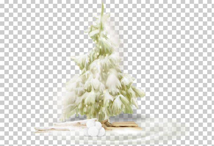 Christmas Tree Fir PNG, Clipart, 25 December, Branch, Christmas, Christmas Decoration, Christmas Ornament Free PNG Download