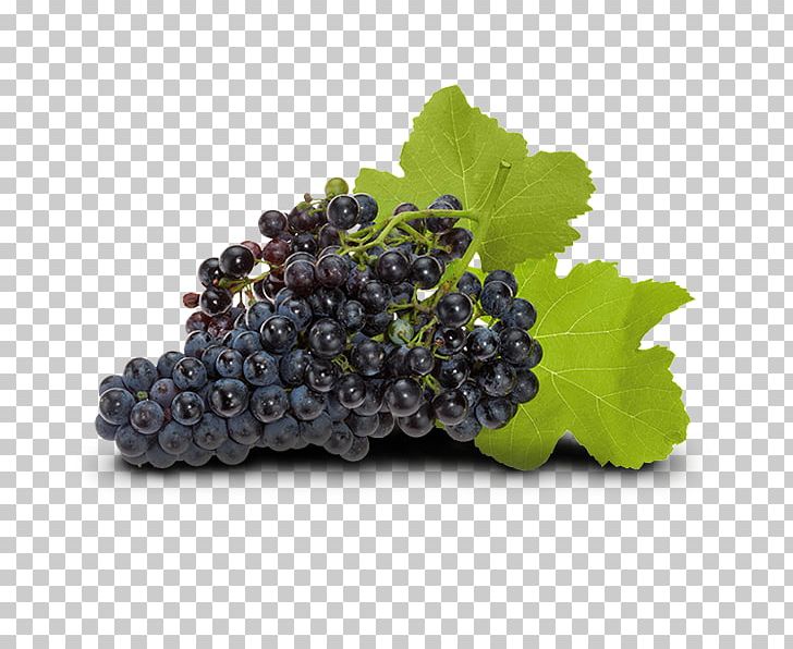 Common Grape Vine Zante Currant Wine Seedless Fruit PNG, Clipart, Berry, Bilberry, Common Grape Vine, Food, Fruit Free PNG Download