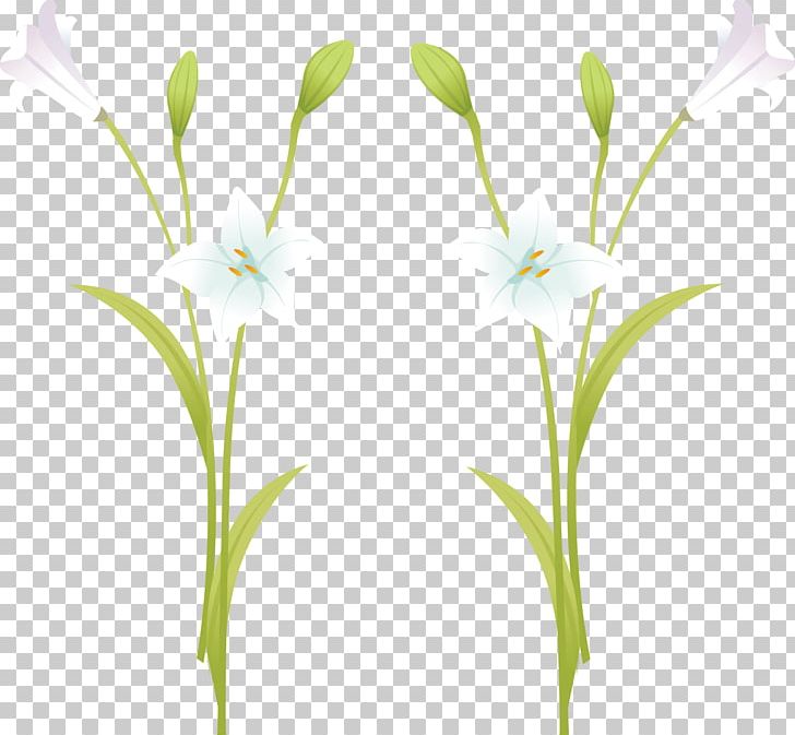 Lilium Euclidean PNG, Clipart, Black White, Bloom, Branch, Encapsulated Postscript, Flower Free PNG Download