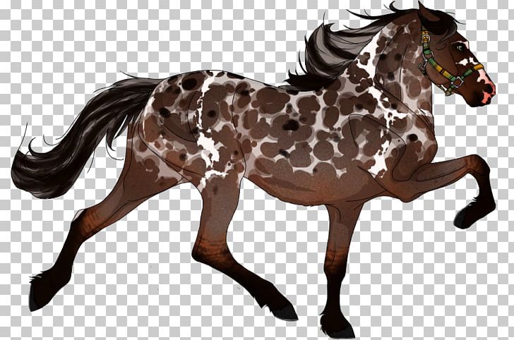 Mane Mustang Appaloosa American Paint Horse American Quarter Horse PNG, Clipart, American Quarter Horse, Animal Figure, Appaloosa, Bay, Bridle Free PNG Download