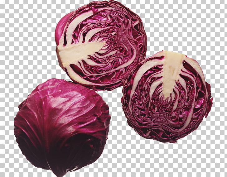 Red Cabbage Health Nutrition Eating PNG, Clipart, Anthocyanin, Book, Brassica Oleracea, Cabbage, Diet Free PNG Download