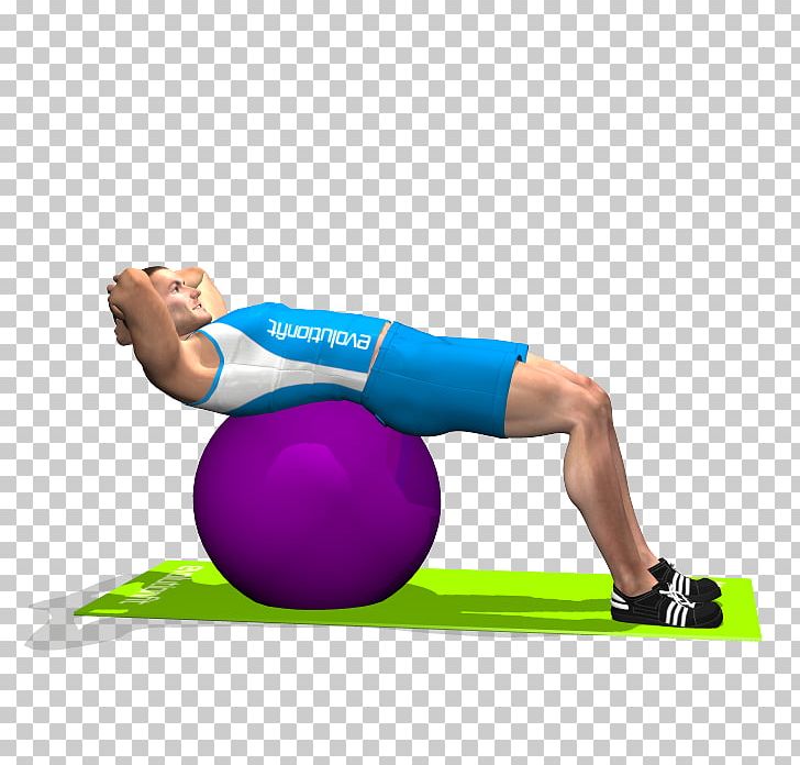 Exercise Balls Pilates Crunch Rectus Abdominis Muscle PNG, Clipart, Abdomen, Abdominal Exercise, Arm, Balance, Exercise Free PNG Download