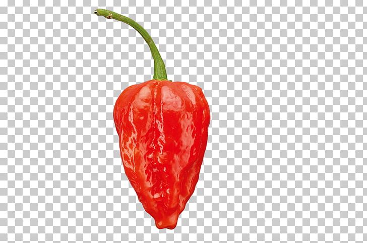 Habanero Tabasco Pepper Serrano Pepper Bell Pepper Bird's Eye Chili PNG, Clipart,  Free PNG Download
