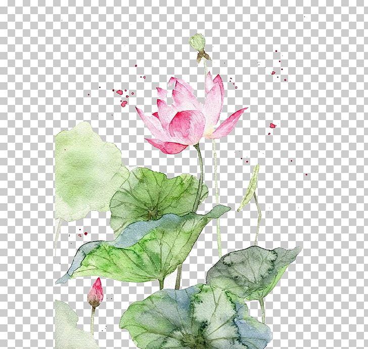 Watercolor Painting Watercolour Flowers Art Chinese Painting PNG, Clipart, Aquatic Plant, Asian Art, Chinese Art, Color, Cyclamen Free PNG Download