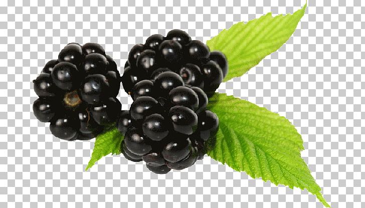 Blueberry Bilberry Zante Currant Fruit PNG, Clipart, Auglis, Berry, Bilberry, Blackberry, Blueberry Free PNG Download