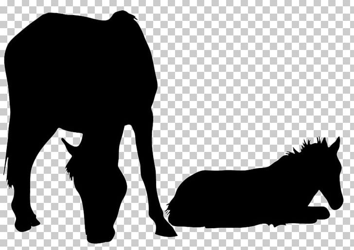 American Quarter Horse Mare & Colt Foal PNG, Clipart, Bay, Black, Black And White, Cattle Like Mammal, Colt Free PNG Download