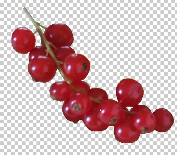 Grape Zante Currant Redcurrant PNG, Clipart, Auglis, Cherry, Currant, Desktop Wallpaper, Food Free PNG Download