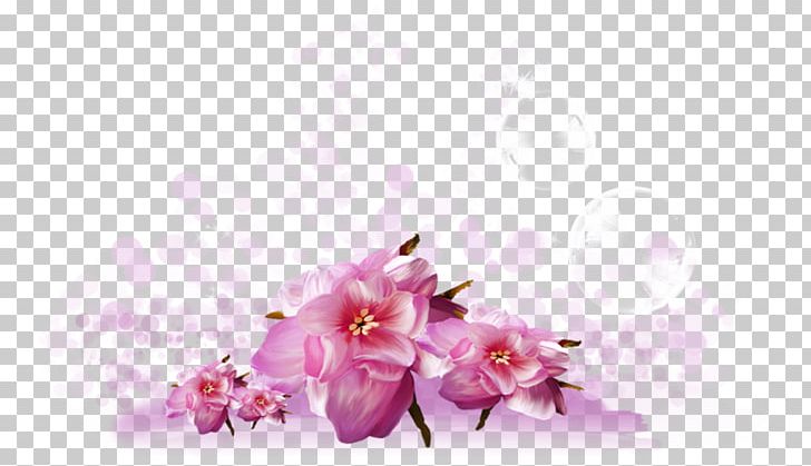 Greeting Night Good Day Week PNG, Clipart, Afternoon, Blossom, Cherry Blossom, Computer Wallpaper, Cut Free PNG Download