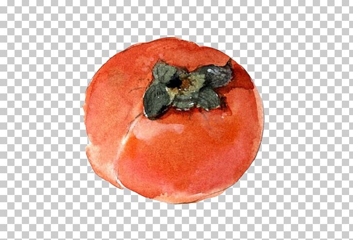 Persimmon Berry Watercolor Painting Fruit PNG, Clipart, Apple Fruit, Auglis, Creative, Creative Fruit, Diospyros Free PNG Download