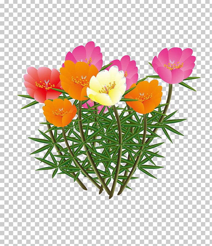 Petal Cut Flowers PNG, Clipart, Annual Plant, Cartoon, Cartoon Flower, Color, Cut Flowers Free PNG Download