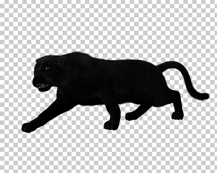 Black Panther Jaguar Silhouette Leopard PNG, Clipart, Animal, Animal Figure, Animals, Art, Big Cat Free PNG Download