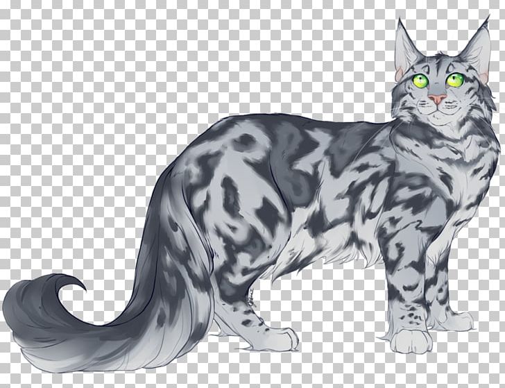 Manx Cat American Shorthair American Wirehair Maine Coon California Spangled PNG, Clipart, American Wirehair, Animals, Art, Asian, British Shorthair Free PNG Download