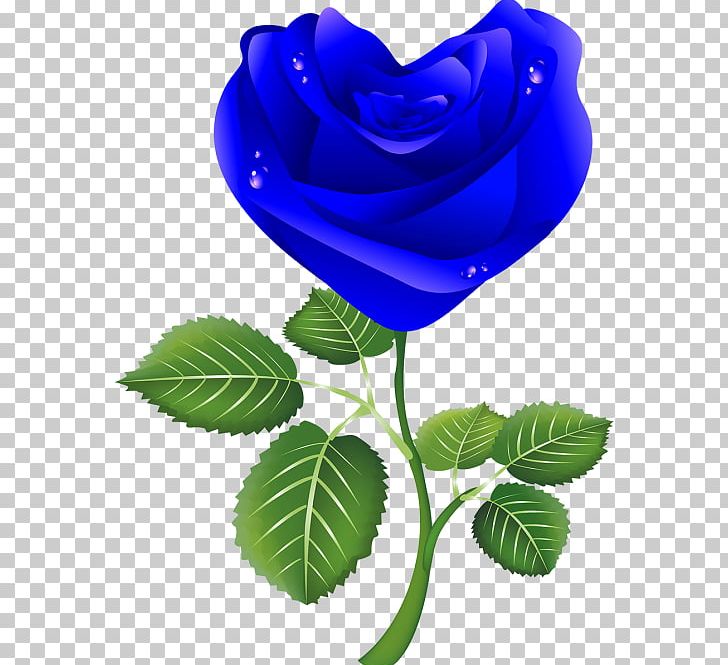 Rose White PNG, Clipart, Blue, Blue Rose, Cobalt Blue, Computer Icons, Cut Flowers Free PNG Download