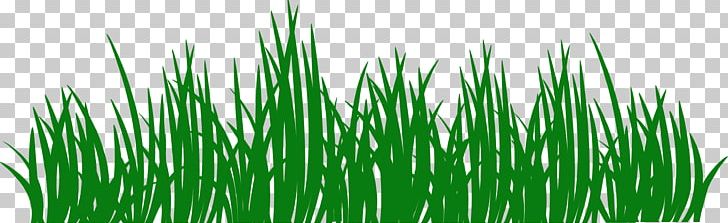 Sticker Grass Lawn Wall Decal Paper PNG, Clipart, Adhesive, Artificial Turf, Chrysopogon Zizanioides, Commodity, Computer Wallpaper Free PNG Download