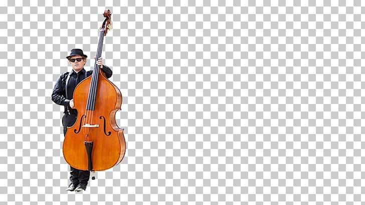 Violone Double Bass Bluegrass Cello Violin PNG, Clipart, Beerfest, Bluegrass, Blues, Bowed String Instrument, Cellist Free PNG Download