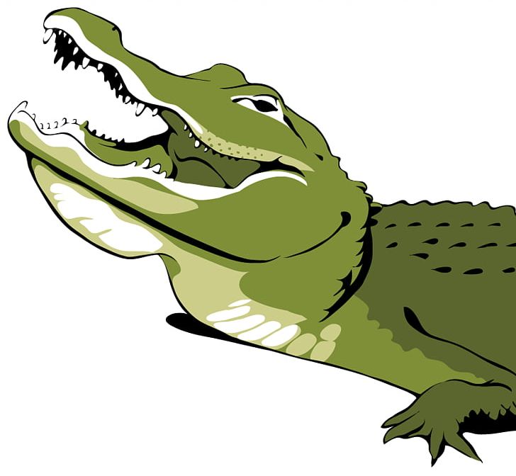 Alligator Crocodiles PNG, Clipart, Alligator, Amphibian, Art, Clip Art, Crocodile Free PNG Download