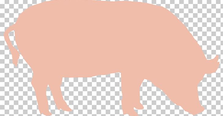 Domestic Pig T-2 Mycotoxin Vomitoxin Aflatoxin PNG, Clipart, Aflatoxin, Biomin, Cattle Like Mammal, Domestic Pig, Eating Free PNG Download